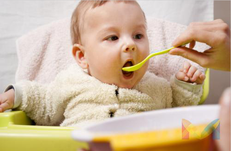 如何训练宝宝的咀嚼能力